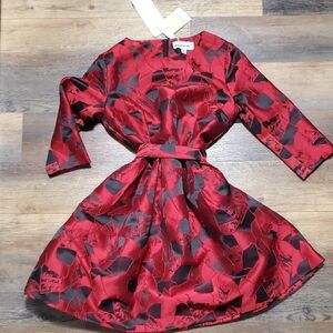 Elegant Red and Black A-Line Dress with 3/4 Raglan Sleeves